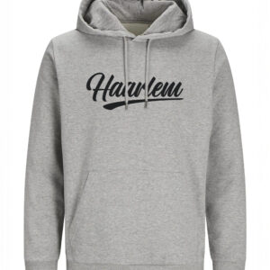 Haarlem Hoodie - Grijs