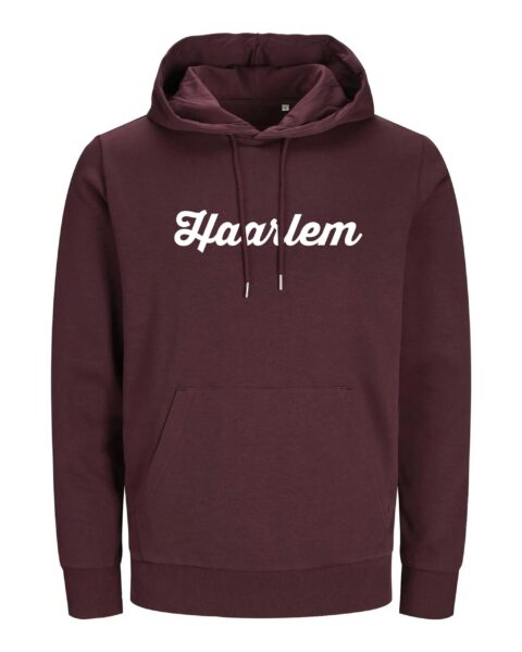 Haarlem Hoodie – Spaarnestad