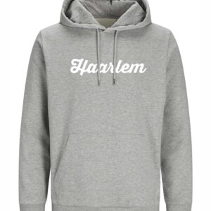 Haarlem Hoodie - Grijs