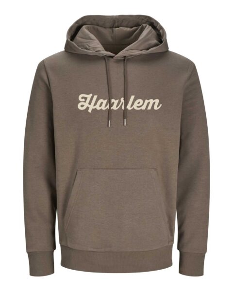 Haarlem Hoodie – Spaarnestad