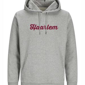 Haarlem Hoodie - Grijs