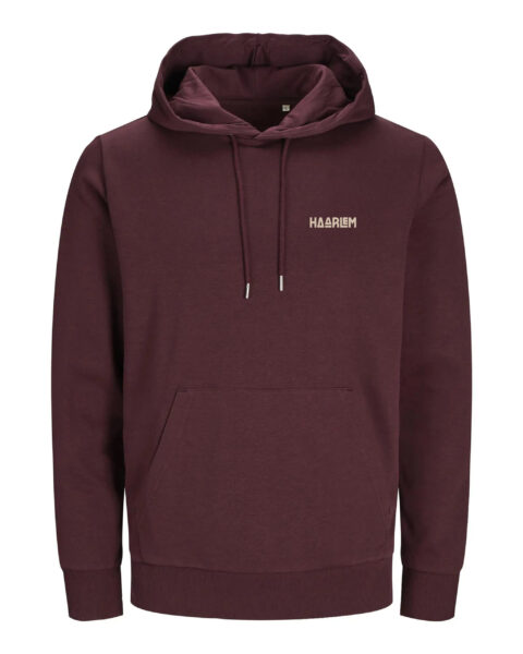 Haarlem Hoodie – Grote Markt Mini