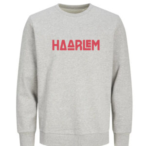 Haarlem Sweater - Grijs