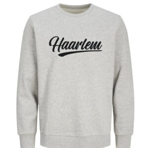 Haarlem Sweater - Grijs