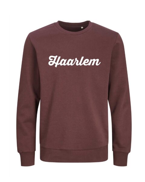 Haarlem Sweater – Spaarnestad