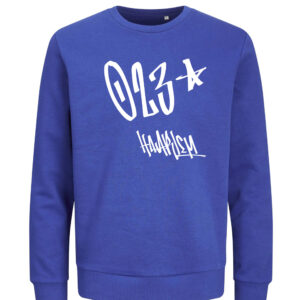 Haarlem Sweater - Blauw