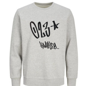 Haarlem Sweater - Grijs