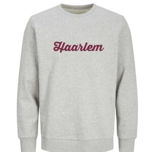 Haarlem Sweater - Grijs