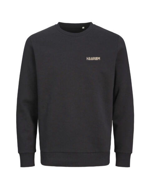 Haarlem Sweater – Grote Markt Mini