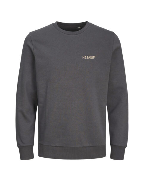 Haarlem Sweater – Grote Markt Mini