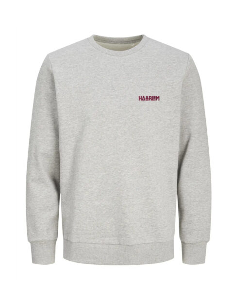 Haarlem Sweater – Grote Markt Mini