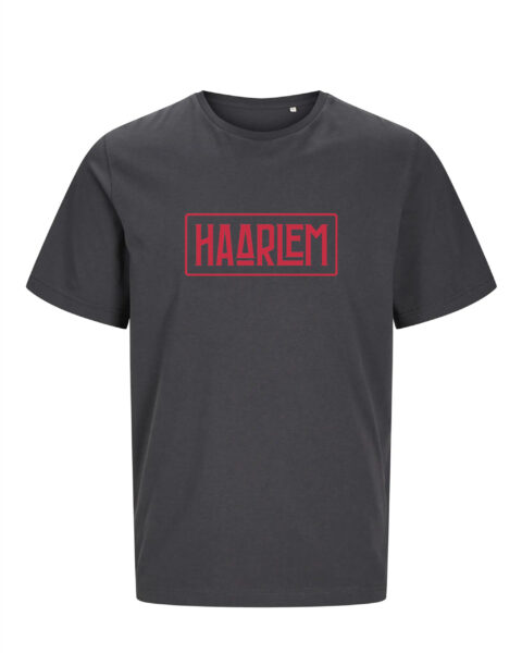 Haarlem T-shirt – Amsterdamse Poort