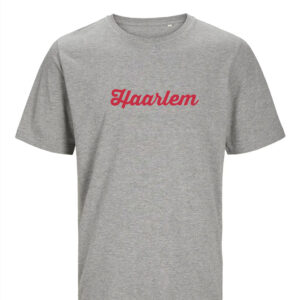 Haarlem T-shirt - Grijs