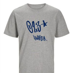 Haarlem T-shirt - Grijs