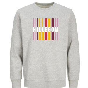 Hillegom Sweater - Grijs