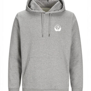 Zwanenburg Hoodie - Grijs