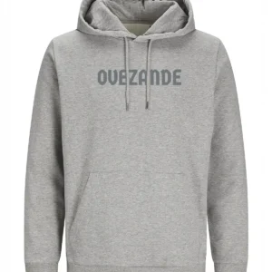 Ovezande Hoodie - Grijs