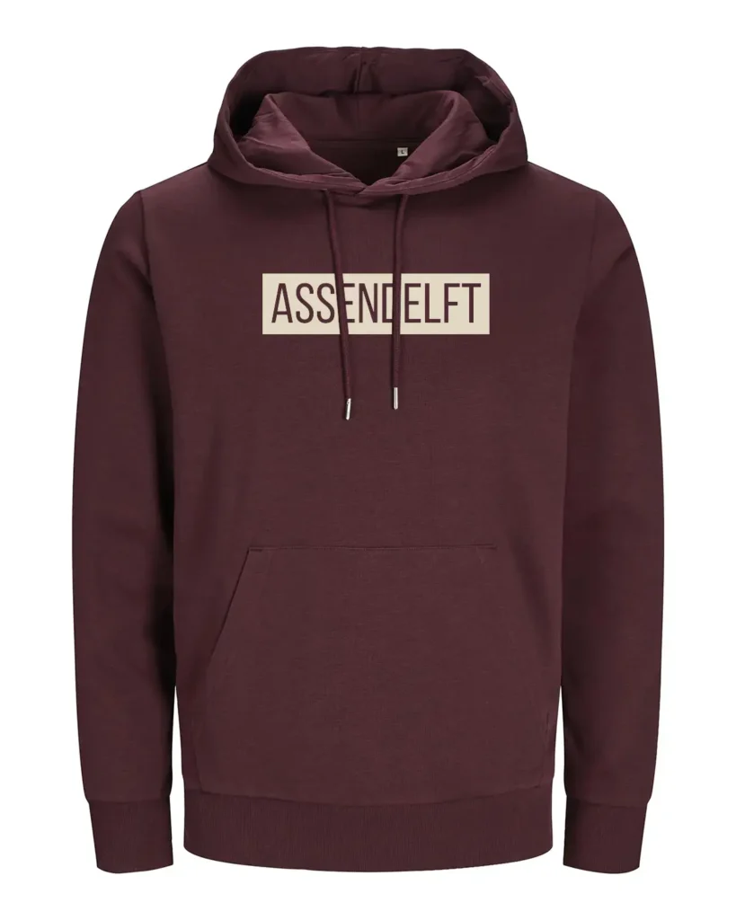 Assendelft hoodie in zwart