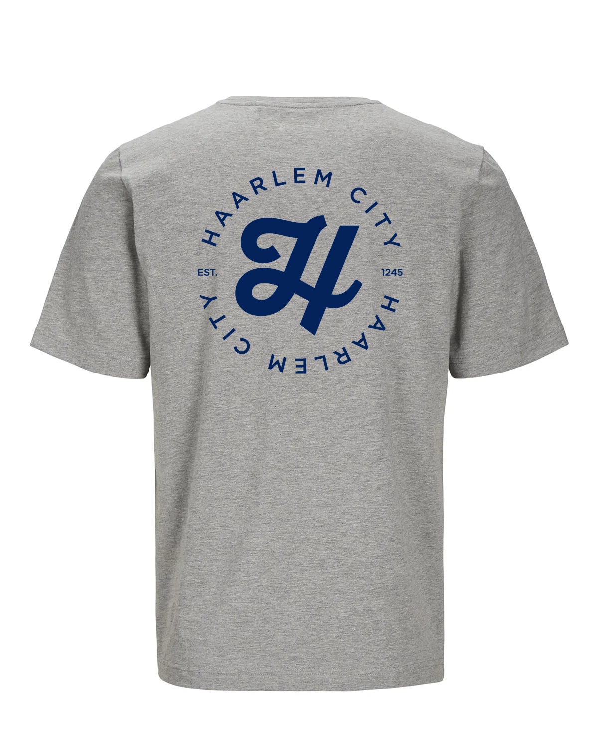 Haarlem t-shirt in grijs – achterkant